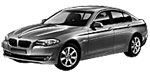 BMW F10 B1981 Fault Code